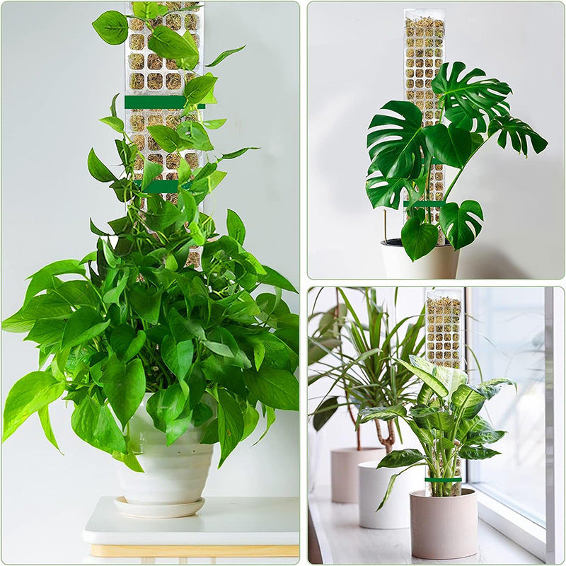 Plant Support Moss Pole